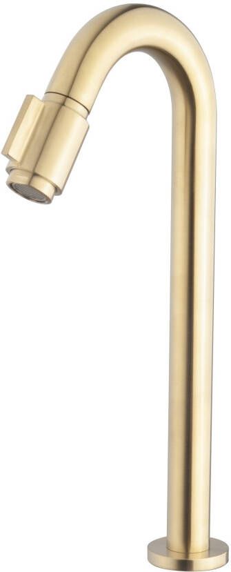 Wiesbaden Victoria luxe fonteinkraan XL 1 2&apos;&apos; geborsteld messing 22.3774