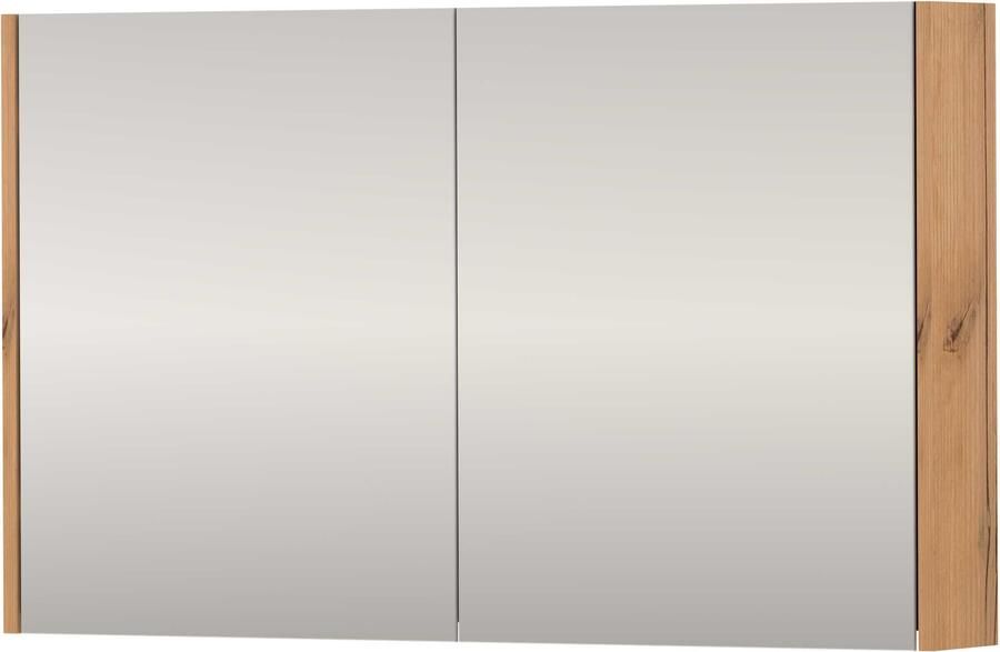 Basic-Line SPK Xcellent Spiegelkast Dubbelzijdig 100x14x60 cm Whisky Oak