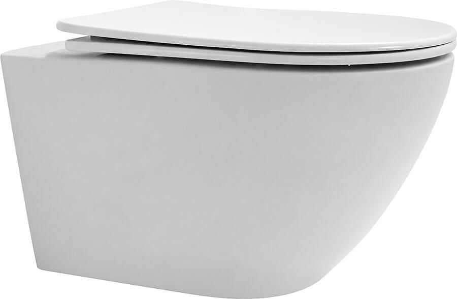 Best Design Wandcloset incl. Zitting en Tornado Flush Best-Design Dance Glans Wit