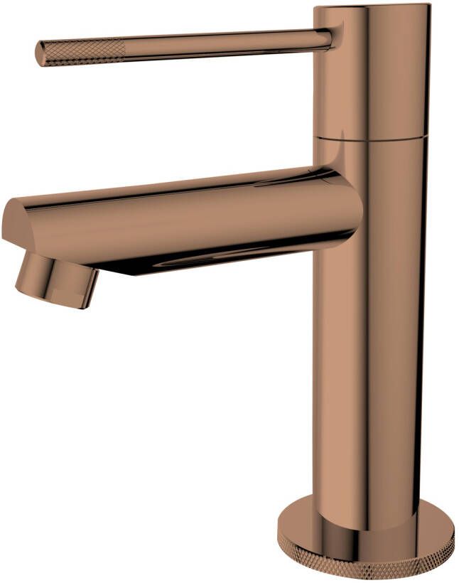 Best design Toiletkraan Dijon-Ribera Uitloop Recht 14 cm 1-hendel Brons