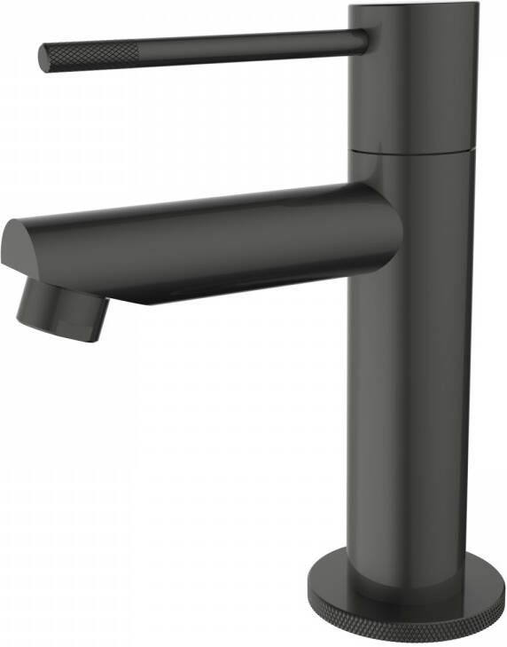 Best Design Toiletkraan Moya-Ribera Uitloop Recht 14 cm 1-hendel Gunmetal