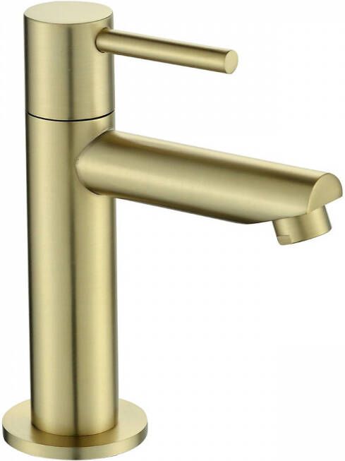 Best design Toiletkraan Nancy Uitloop Recht 14 cm 1-hendel Mat Goud