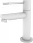 Best Design Toiletkraan White-Ribera Uitloop Recht 14 cm 1-hendel Mat Wit - Thumbnail 1