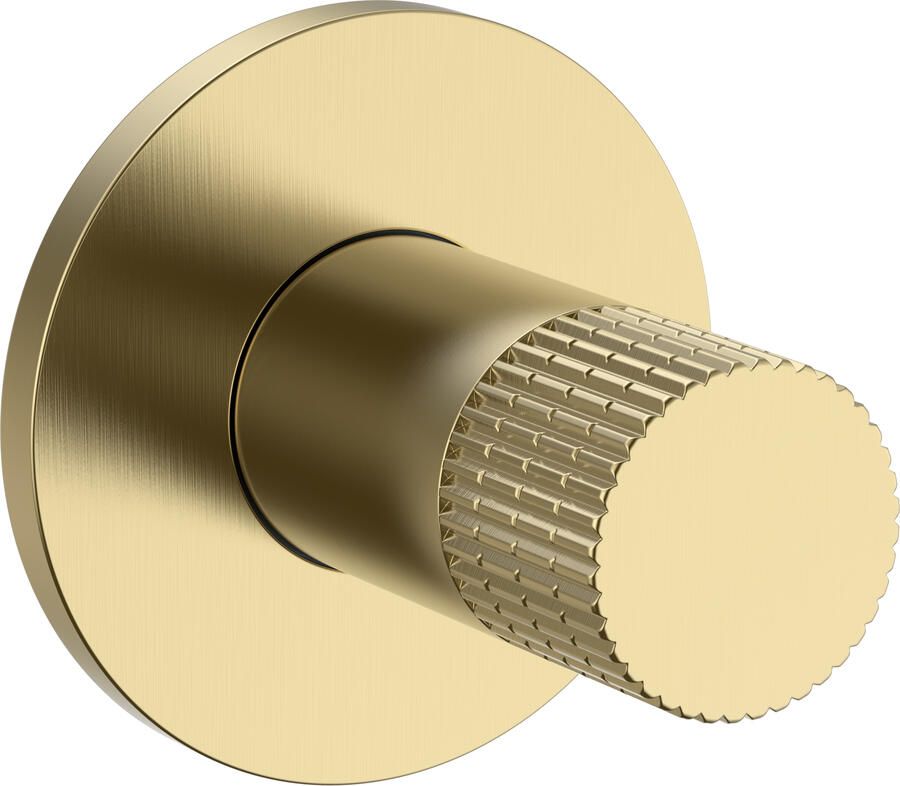 Boss & Wessing Bidetkraan BWS Sensa Koud Water Geborsteld Goud PVD