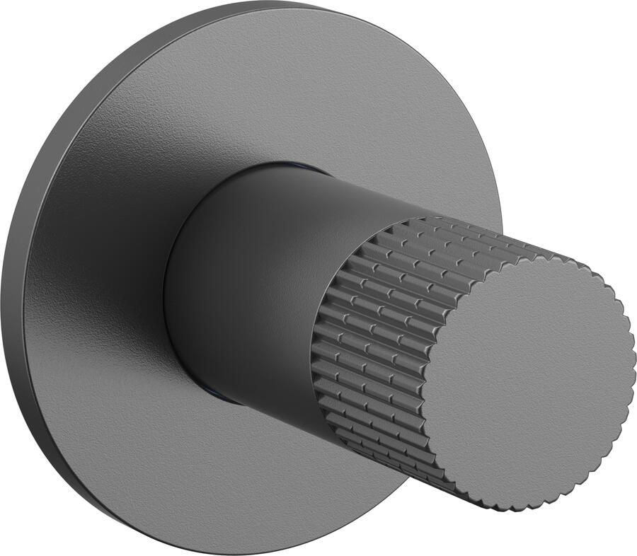 Boss & Wessing Bidetkraan BWS Sensa Koud Water Gunmetal PVD