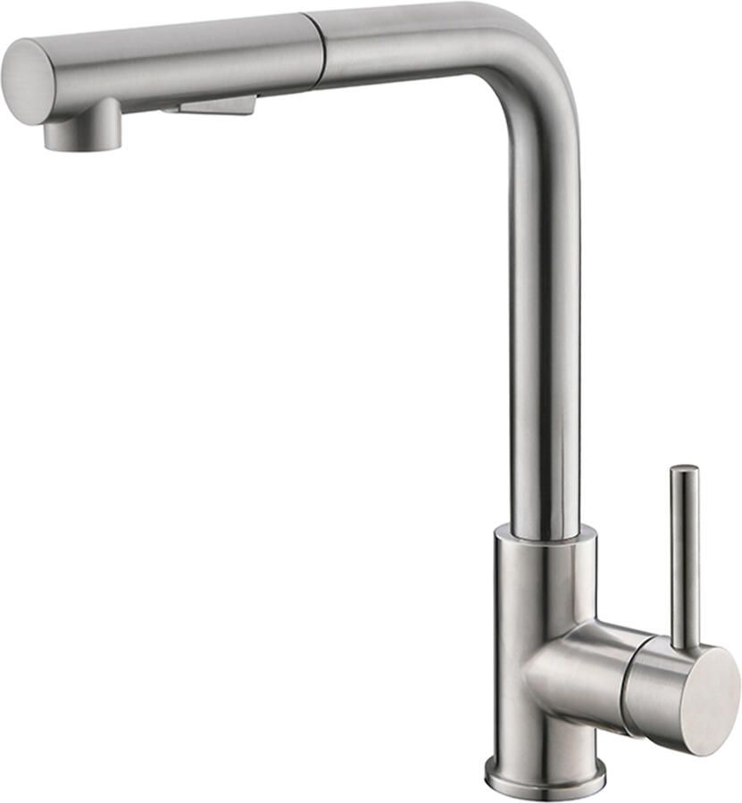 Boss & Wessing BWS Keukenkraan Reno met Uittrekbare Handdouche RVS