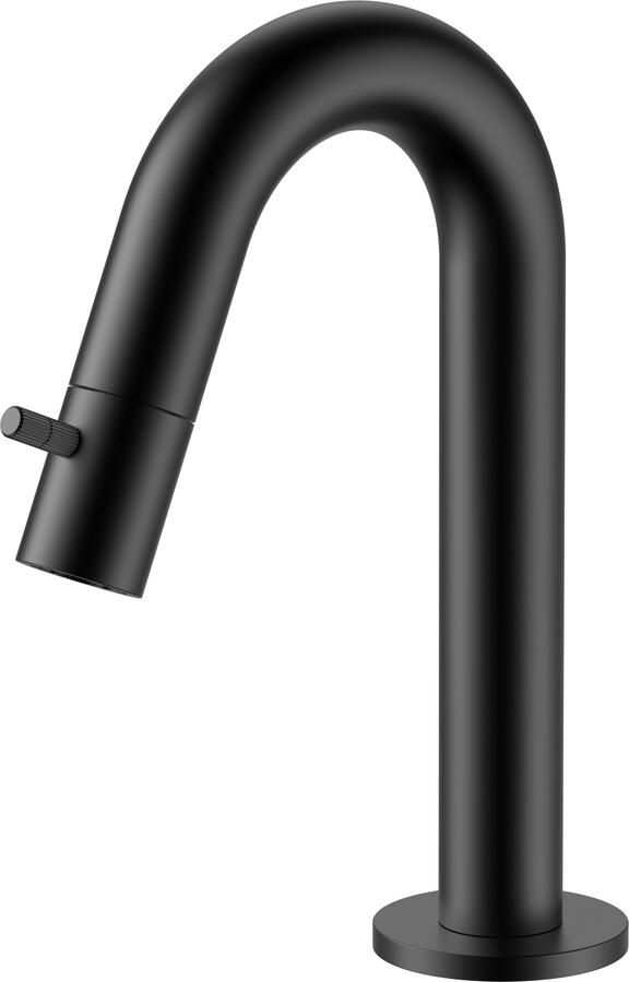 Boss & Wessing Fonteinkraan BWS Sensa Gebogen Geborsteld Zwart PVD