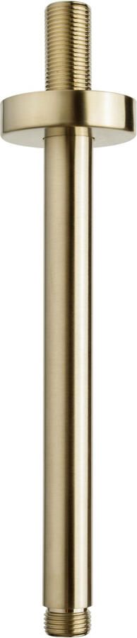 Boss & Wessing Luxe Douche-Arm Rond Plafondbevestiging 20 cm Geborsteld Messing Goud
