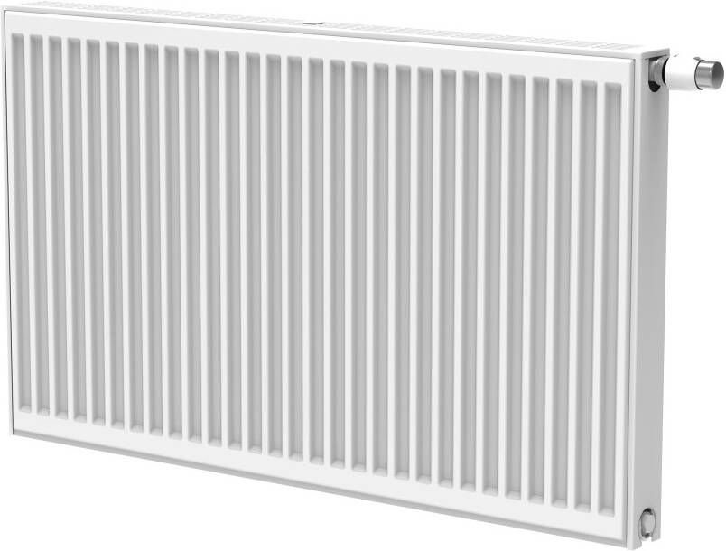 Boss & Wessing Radiator BWS Lucy 30x100 cm 1349W Type 33 6 Aansl. Wit