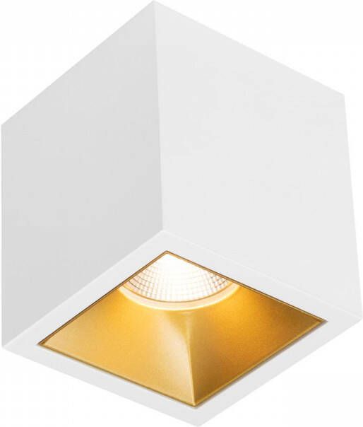 Boss & Wessing Spot BWS Daniel Aluminium 745Lm 9 2W Wit Met Gouden Anti-Glare Ring