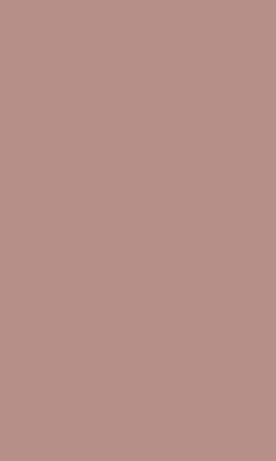 Brauer Badwand 80 Zonder Uitsparingen Brons Glas