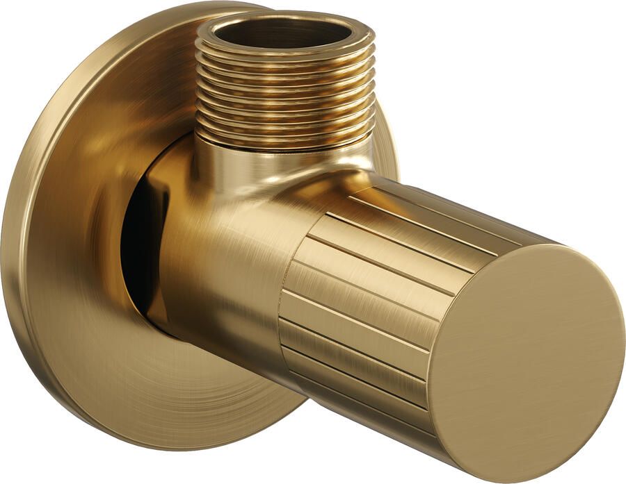 Brauer Stripe hoekstopkraan compleet met slang goud geborsteld PVD