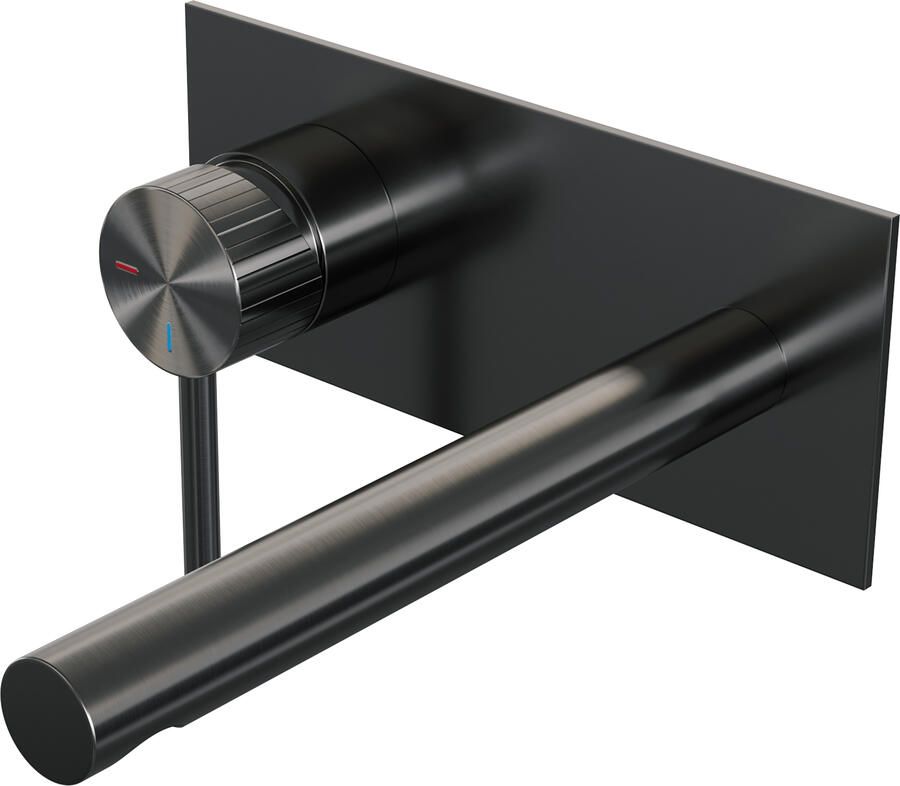 Brauer Stripe inbouw wastafelmengkraan met rechte uitloop en afdekplaat model A2 gunmetal geborsteld PVD