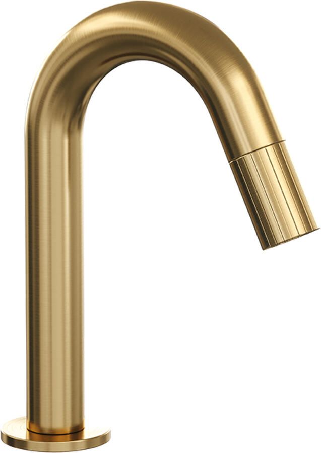 Brauer Stripe opbouw fonteinkraan met gebogen uitloop goud geborsteld PVD