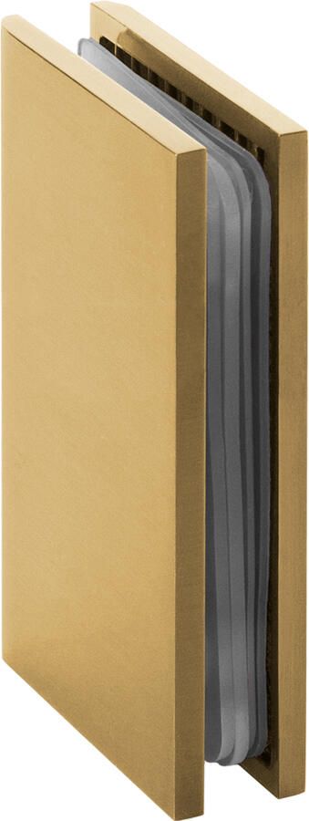 Sanitop Wandbevestiging Just Creating 2 Stuks t.b.v. W1 of W2 Goud