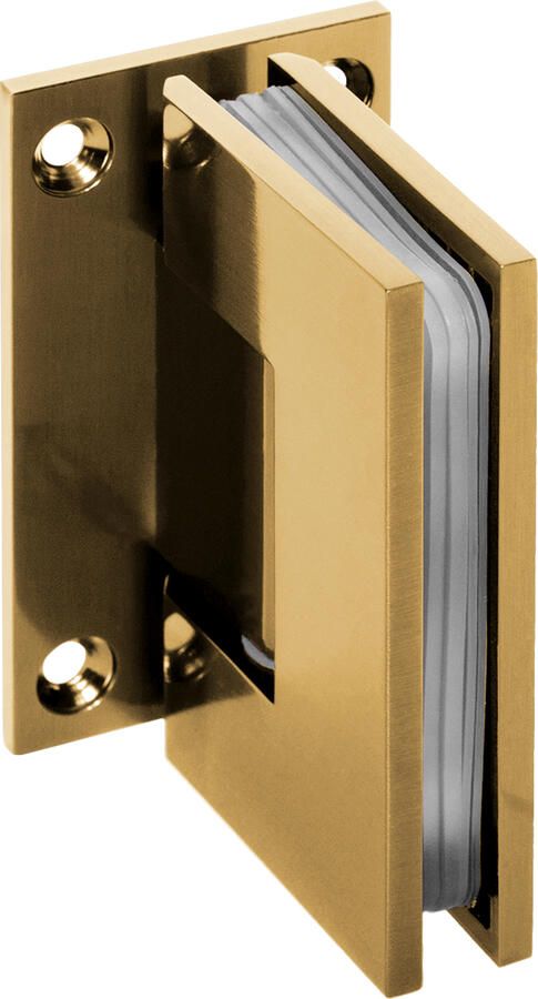 Sanitop Wandscharnieren Just Creating 2 Stuks t.b.v. D1 en DZ1 Goud