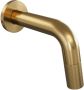 Brauer Gold Carving Fonteinkraan inbouw 8.5-18.5cm uitloop Goud geborsteld 5-GG-264 - Thumbnail 1