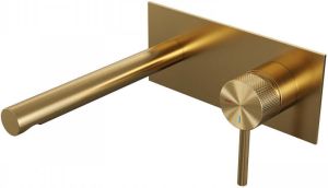 Brauer Inbouw Wastafelmengkraan Gold Carving Coldstart Rechte Uitloop Ronde Hendel Rechts Geborsteld Goud PVD Met Afdekplaat