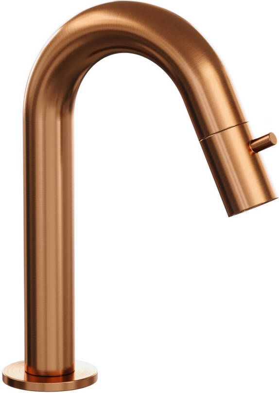 Brauer Opbouw Fonteinkraan Copper Edition Met Gebogen Uitloop Koper Geborsteld PVD