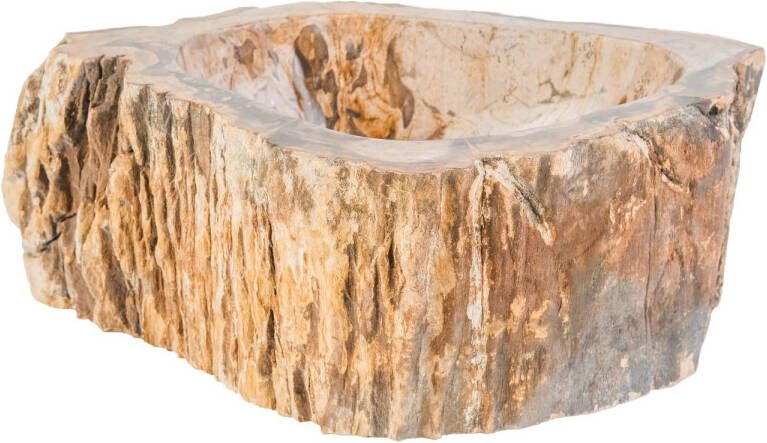 Bws Waskom Stone Organisch 30-35x15 cm Gepolijst Hout Bruin