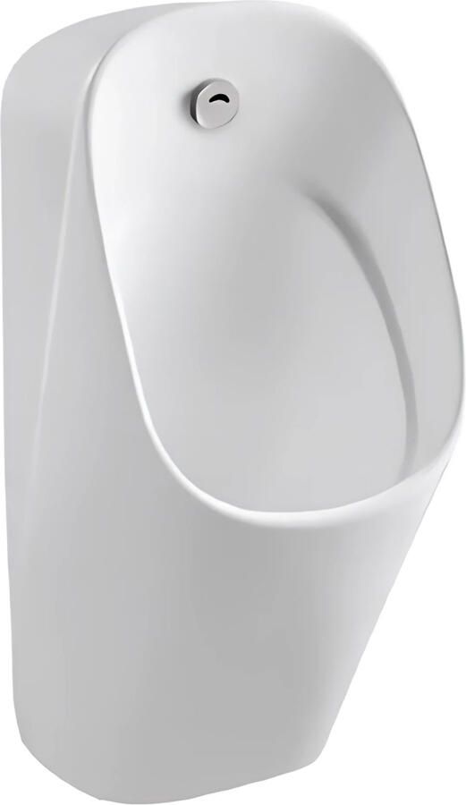 Creavit Urinoir BWS Viora Met Sensor 30x69x33.5 cm Mat Wit