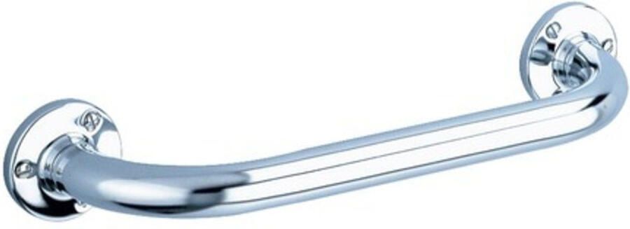 De Beer Badgreep Delabie Aangepast Sanitair Muurbevestiging 30 cm Gepolijst RVS