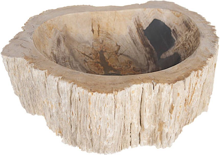Differnz Fossil versteende houten opzetwastafel Ø 45 cm crème