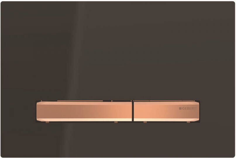 Geberit Sigma50 bedieningplaat 2-toets spoeling frontbediening voor toilet 24.6x16.4cm zwart 115670DW2