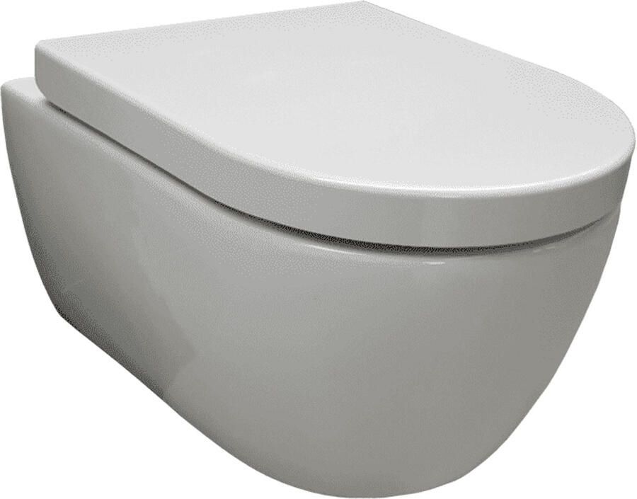 Geberit Up320 Toiletset Aqua Royal Easyflush Rimfree 54 cm Met Sigma Drukplaat Up320 Set31 Sigma 01 Wit