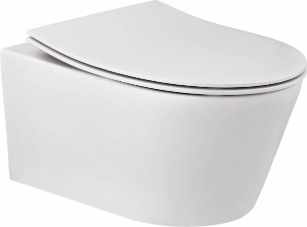 Geberit up100 Toiletset BWS Calitri Urb.y | Rimfree Compact | Mat Wit | Delta Drukplaat