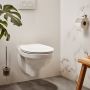 Haceka Aspen Toiletborstelset 11 4x13 8x36 1 cm Chroom - Thumbnail 1