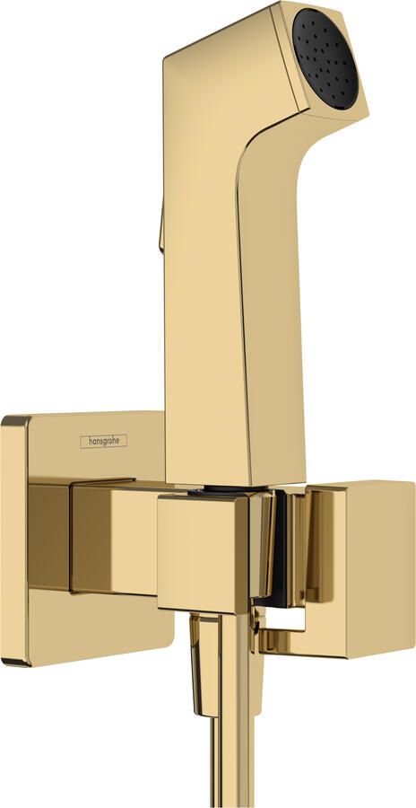 Hansgrohe bidethanddouche 1jet E EcoSmart voor warm water met douchehouder en doucheslang 125 cm Polished Gold-Optic
