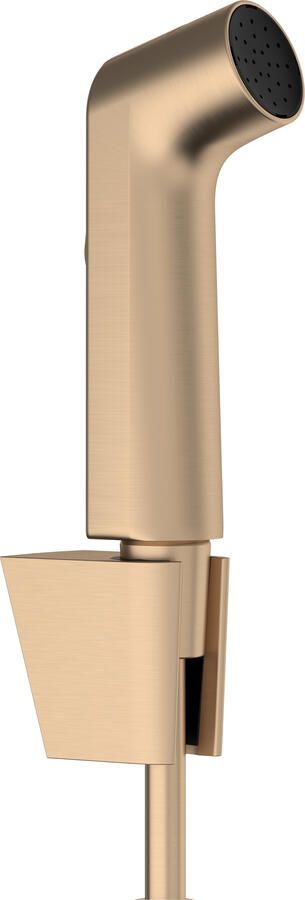 Hansgrohe bidethanddouche 1jet EcoSmart met Porter S douchehouder en doucheslang 125 cm Brushed Bronze