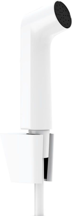 Hansgrohe bidethanddouche 1jet EcoSmart met Porter S douchehouder en doucheslang 125 cm mat wit