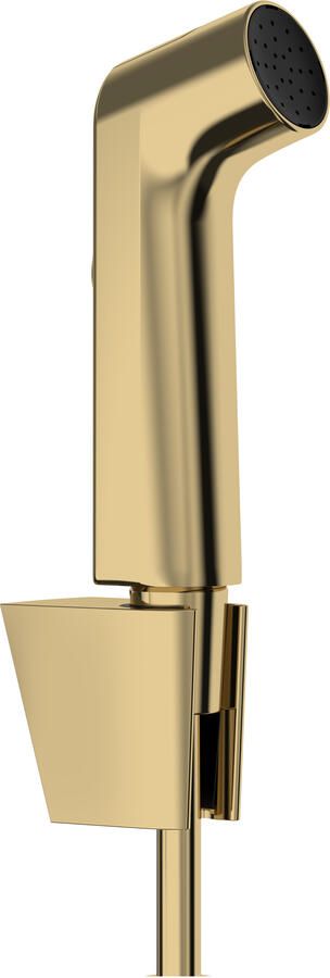 Hansgrohe bidethanddouche 1jet EcoSmart met Porter S douchehouder en doucheslang 125 cm Polished Gold-Optic