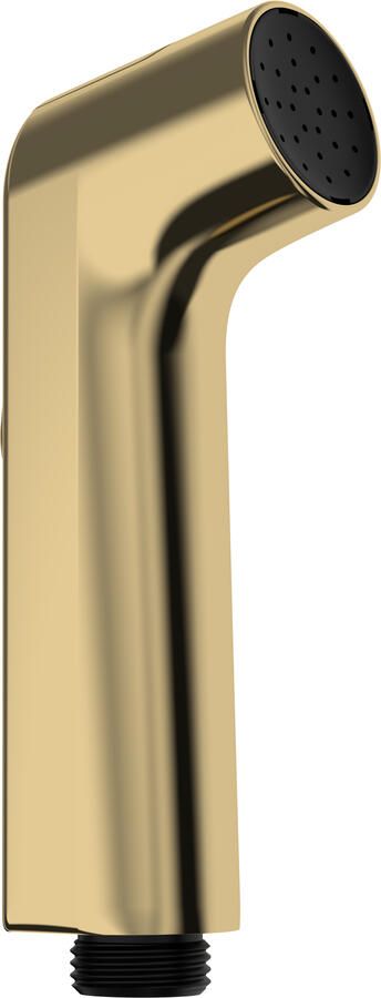 Hansgrohe bidethanddouche 1jet EcoSmart Polished Gold-Optic