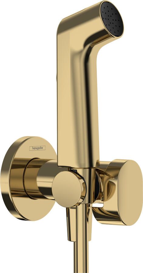 Hansgrohe bidethanddouche 1jet EcoSmart voor warm water met douchehouder en doucheslang 125 cm Polished Gold-Optic