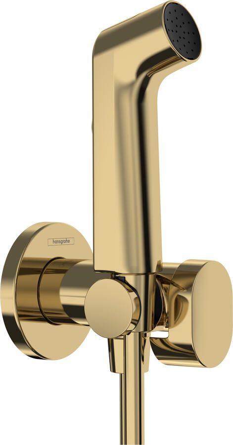 Hansgrohe bidethanddouche 1jet S EcoSmart voor koud water met porter en doucheslang 125 cm Polished Gold-Optic
