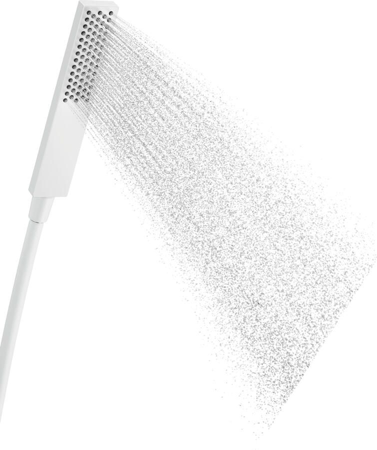 Hansgrohe Pulsify e staafhanddouche 100 1jet ecosmart m.wit 24320700