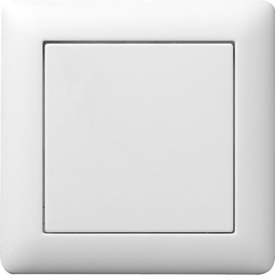 Hasler Wandschakelaar Buschjäger afdekmateriaal