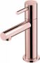 Hotbath Fonteinkraan Dude 1-hendel Recht 14.8 cm Rond Roze Goud - Thumbnail 1