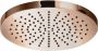Hotbath Hoofddouche Cobber Opbouw 30 cm Geborsteld Messing Living Colours - Thumbnail 1
