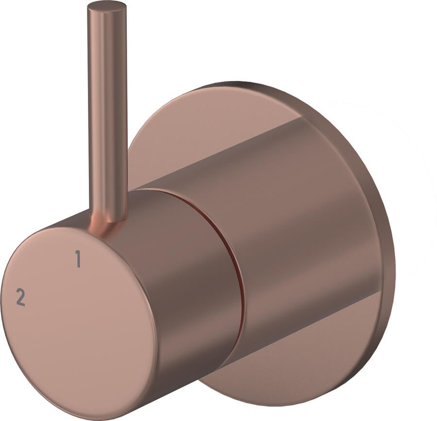 Hotbath BUDDY Afbouwdeel Inbouw 2-weg omstel Geborsteld Koper PVD (B111EXTBCP)