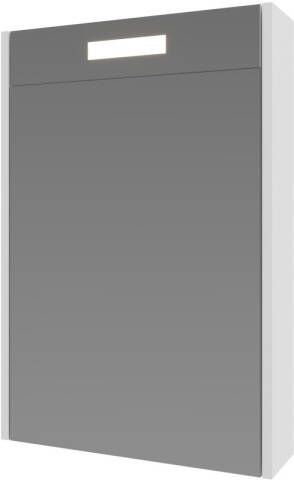 INK Spiegelkast Proline Premium Met Houten Deur Geïntrigeerd LED Verlichting 50x14x60 cm Ice White