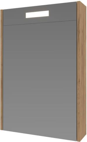 INK Spiegelkast Proline Premium Met Houten Deur Geïntrigeerd LED Verlichting 50x14x60 cm Whisky Oak