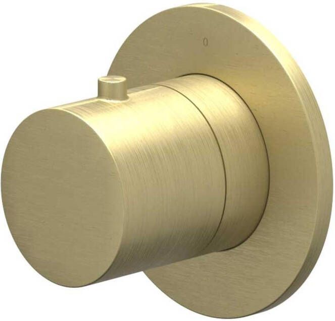 Ivy Bond Afbouwdeel voor douchekraan doorstroom stopkraan symmetry rond rozet Geborsteld mat goud PVD 6202604
