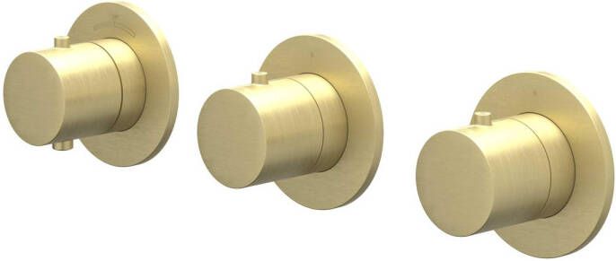 Ivy Bond Afbouwdeel voor Inbouwthermostaat 2 stopkranen symmetry ronde rozetten Geborsteld mat goud PVD 6202474