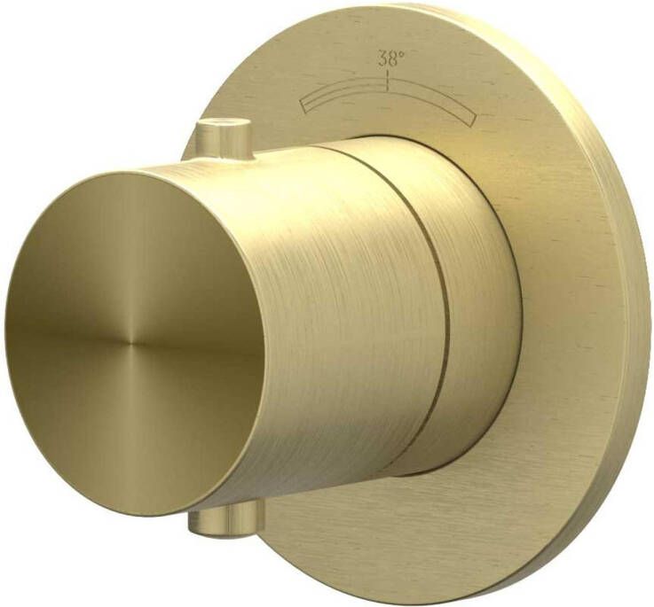 IVY ConcordAfbouwdeel voor Inbouwthermostaat Symmetry rond rozet RVS316 geborsteld mat goud PVD 6201212