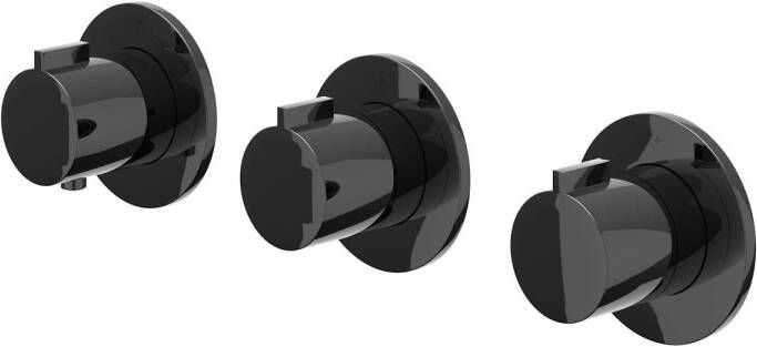 Ivy Pact Afbouwdeel voor Inbouwthermostaat 2 stopkranen Symmetry ronde rozetten Zwart chroom PVD 6202357