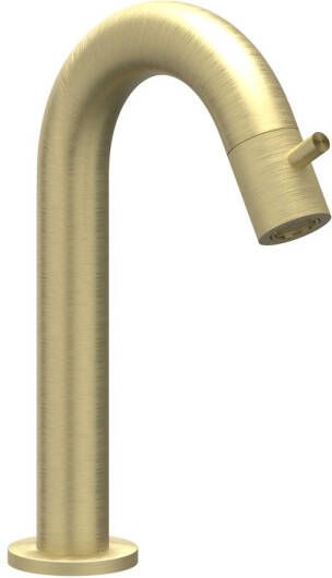 Ivy Concord Fonteinkraan gebogen opbouw laag RVS316 geborsteld mat goud PVD 6401062
